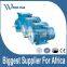 Low-voltage electric motor