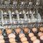 10000 pcs/h automatic stainless steel egg washing machine egg washer for poultry farm