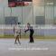 ice hockey board game/Barriers & Dasher Board Systems