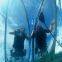 See through paddle board, clear SUP board, clear paddle board, clear SUP paddle board, clear stand up paddle board, transparent paddle board, transparent SUP board, crystal paddle board