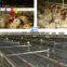 Poultry nipple drinker broiler layer farm equipment