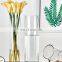 vitalucks simple design thickened tall cylinder clear glass vase