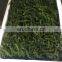 Natural Fresh Green Sea Grapes /Dehydrated Seaweed as Healthy Foods