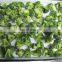 China Supplier of Premium Quality Frozen Broccoli Cuts