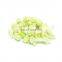 Bulk IQF Frozen Cauliflower with Green Stem