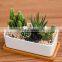 New Design Succulent Planter Wooden Mini Plant Set Small Low Bowl Chinese Perfect Turtle Garden Flower Pot Ceramic White