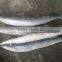 2015 seafrozen pacific saury whole round 0#:140g+