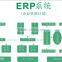 ERP customization