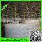 Supper trellis netting climbing plant support net / plant support stick net