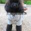 winter skirt woolen winter dog clothes with skirt