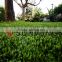 China artificial grass factories, natural appearance and feeling high UV-resistant artificial grass