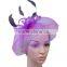 Women's Fascinator Hair Clip Feather Net with Veil Party Derby Cocktail Hat Wedding Accessory