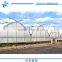 6 M PE Plastic Film Greenhouse for vegetables and flowers