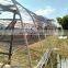 Cheap single span plastic greenhouse for agriculture