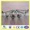 Smooth Shank Roofing Nail high quality made in China