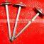 best quanlity galvanized roofing nails