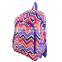 Adjustable Straps Comfortable Cheap Child School Backpack