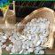 New Crop chinese snow white pumpkin seed big size whole sale europe quality