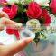 Imported High Medical Grade Silicone Nipple Correction Cups Breast Enlarger Nipple Corrector for Inverted or Flat Nipples