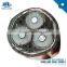 1-35KV Cu/AL/ armoured XLPE insulated 300 sq mm power cables