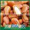 Constant Supply New Crop Fresh Raw and Roast Open Pine Nuts in Shell