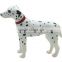 Educational toy dog series collection kids diy toy 3D puzzle toy