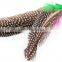 QQpet Telescoping Cat Wand With Replace Feather Toys for Cats