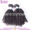 Stocks Kinky Curly Virgin Human Hair Wholesale Natural Black Brazilian Kinky Curly Remy Hair Weave