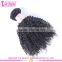 Qingdao Factory Wholesale Price Stocks Vrigin Brazilian Human Hair Afro Kinky Curly Kinky Curly Hair Weave