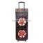 Double 12 inch professional outdoor portable speaker with bluetooth