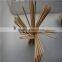 Popular BBQ Skewers for Southeast Asia Market