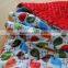 Fashion Design 100% Polyester Big Size Kids Use Thick Minky Crib Quilt