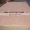 0.3mm Rotary-Cut Okoume plywood recon gurjan bintangor laminated plywood