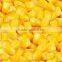Canned Sweet Corn Kernel factory