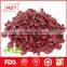Wholesale red kidney beans with high quality