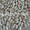 2014 different varieties of white kidney beans from China with cheap price