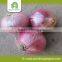 Red onion export mesh bags
