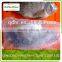 Frozen Tilapia Fillet Fish Wholesale Price