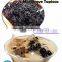 Fruit Tapioca Pearls Bubble Tea