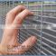 Border protective PVC coated & hot dip galvanized 8 guage wire 1/2"x3" mesh count welded mesh fence panel with H supporting post