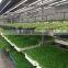 Hot sale bud seeding machine/ seed planting machine for sale