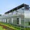 Baolida cheap vegetables tunnel greenhouse