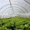 Agriculture Poly Tunnel Greenhouse