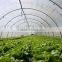 Agriculture Poly Tunnel Greenhouse