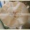high quality pp japan bulk storage bags