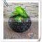 Modern Style Pebble Black Resin Garden Flower Pots