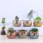 Succulent plants mini owl shape ceramic flower pots