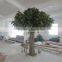LXY081332 factory cheap artificial banyan trees plastic ficus bonsai tree for sale