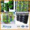 Polyester wall pocket planter,living wall planter,vertical garden wall pocket planter