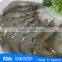 HL002 shrimp exporters mineral balls for crystal shrimp